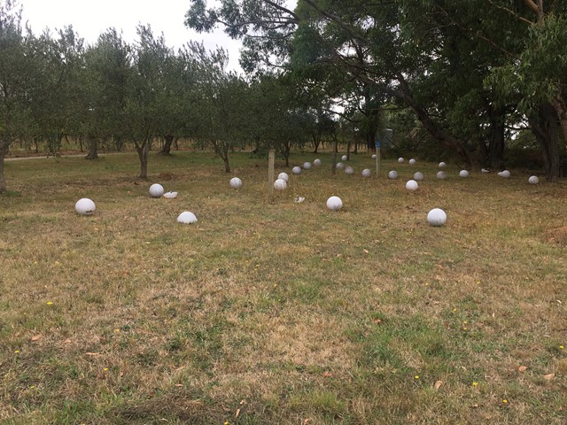 Sculpture Walk at Montalto Vineyard Red Hill